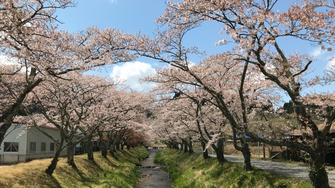 【和洋会席御膳】2食付きプラン☆湯沢川の桜並木やおしら様の枝垂れ桜など名所までドライブはいかが？